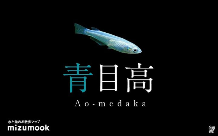 メダカの生息地は 日本固有種 絶滅危惧種 種類は ミズムック