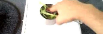 How Much Does 1 Cup Of Lettuce Weigh Free Download Song Mp3 and Mp4