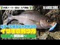 イサキ ワーム 221705-イサキ ワーム カラー