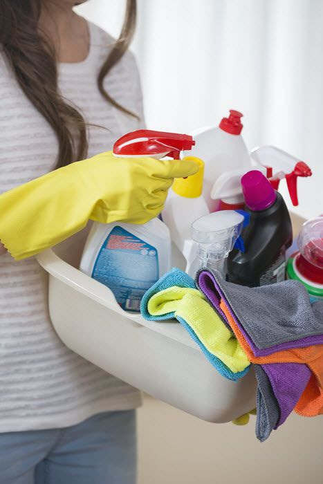 Professional Housekeeping Services