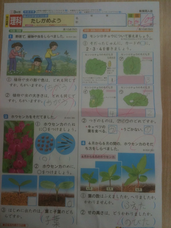 小学三年生理科100点 向田塾