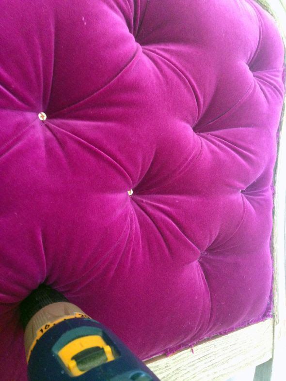 photo IMG_5621.jpg