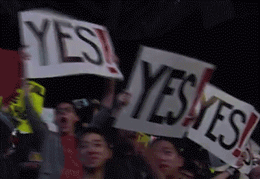yes yes yes signs GIF