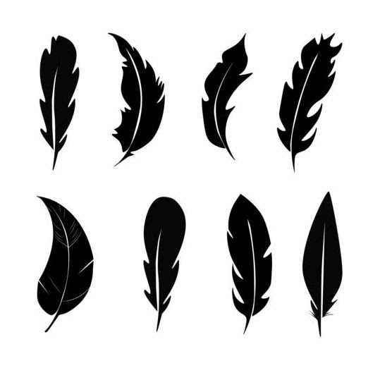 Download Feather silhouetter vectors set 01 free download