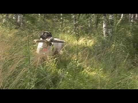 Happy Birthday! 8 years! Happy Birthday! 8 years!