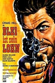 Hands of A Gunfighter 1965 Streaming VF Gratuit