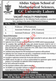 Cv teaching assistant