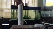 Aquarium Filters, Koleksi Istimewa!