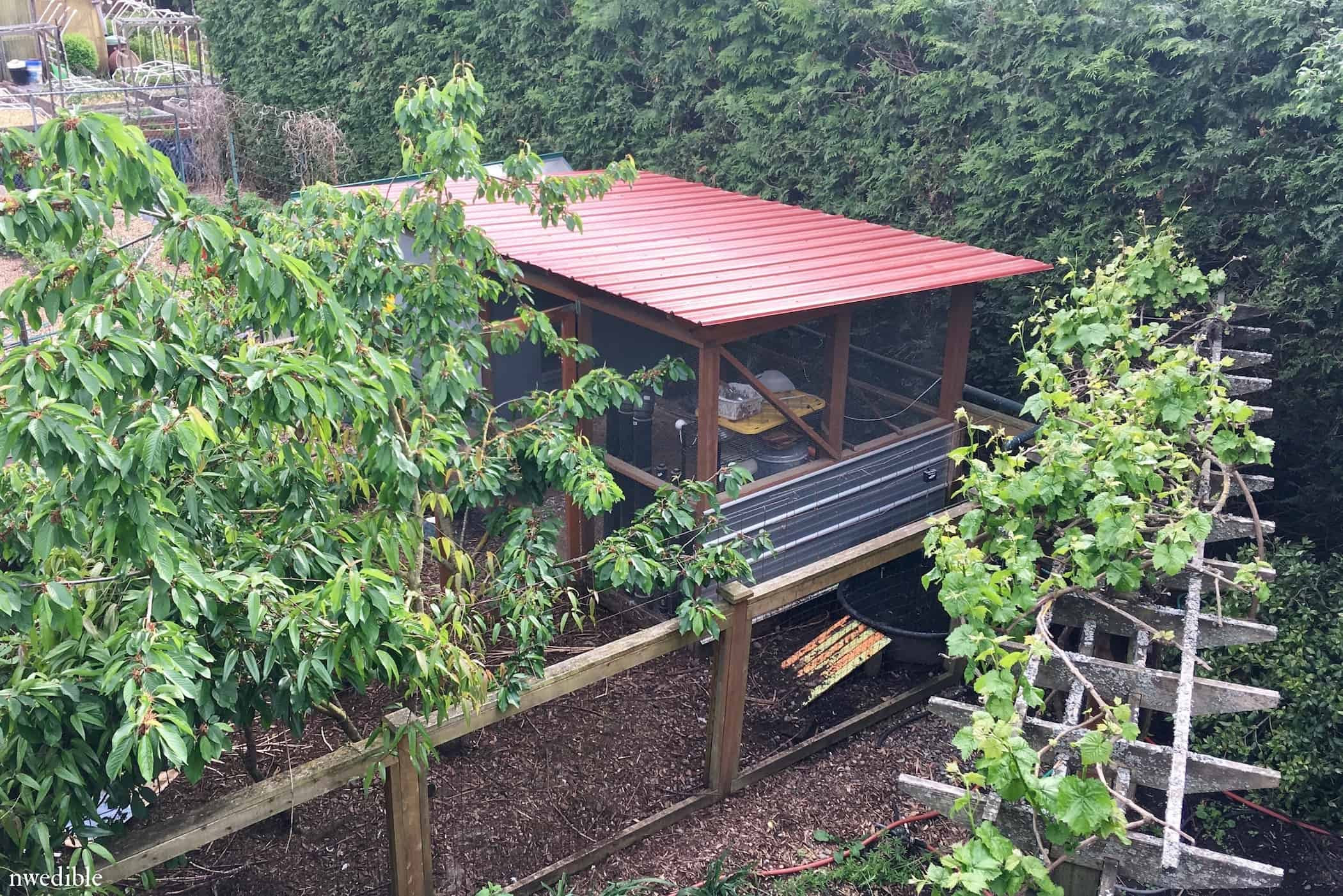 11 Chicken Coop Features Ill Never Live Without Northwest Edible Life
