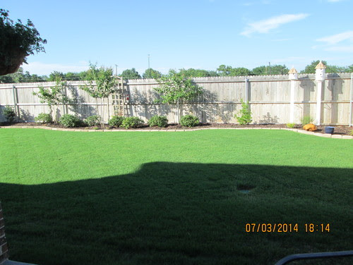 pictures from left to right: entire back along fence line, left side 