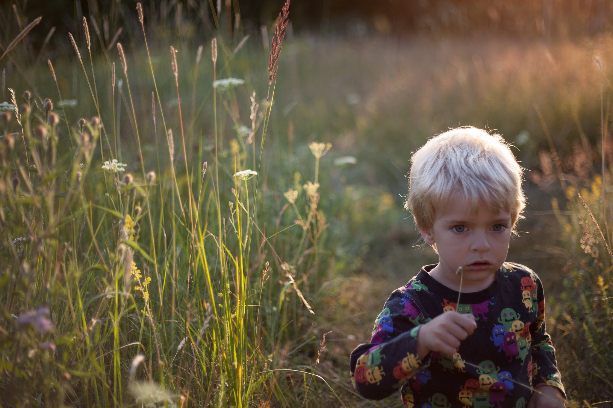 Grass