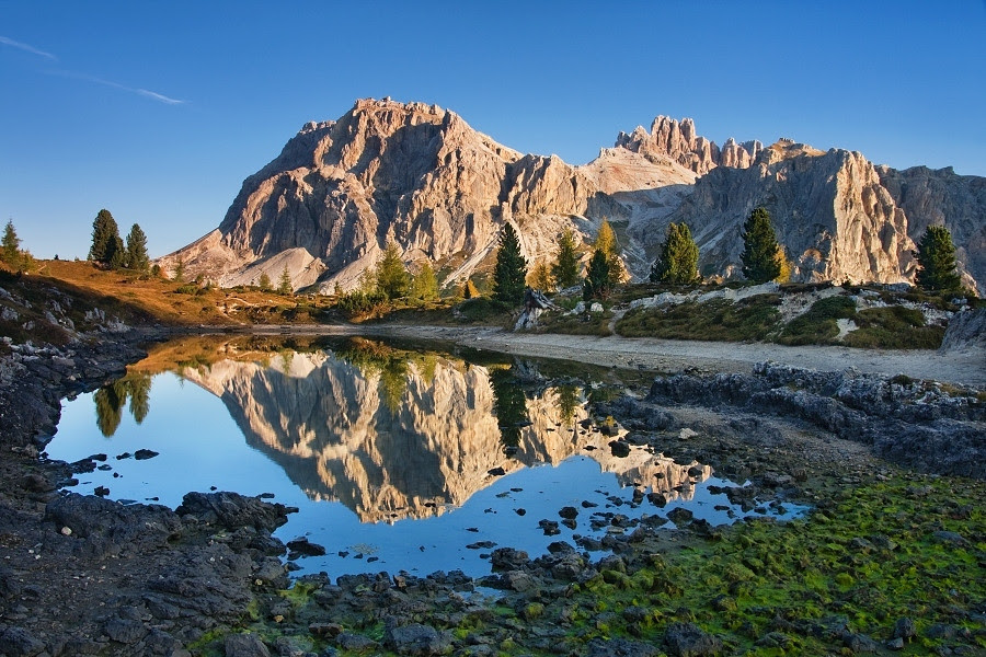 500px favs, rg443