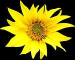 atheana's photo