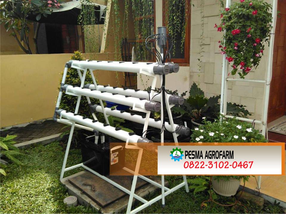 Jual Rak Hidroponik Banyuwangi 0822 3102 0467 Toko Jual Rak Hidroponik Banyuwangi 0822 3102 0467 Toko