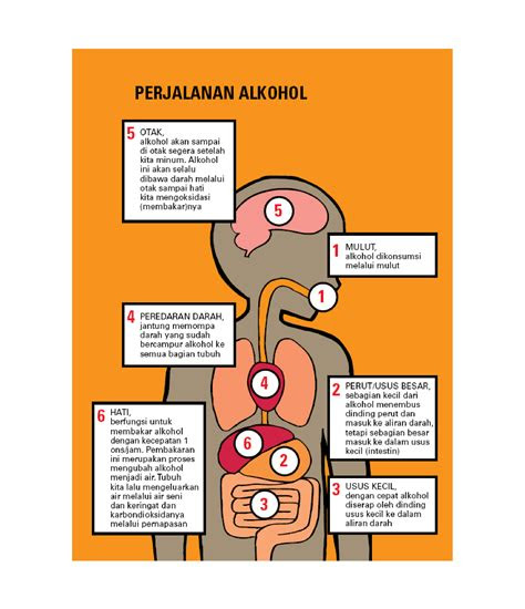 bahaya minuman keras  minuman beralkohol bagi remaja