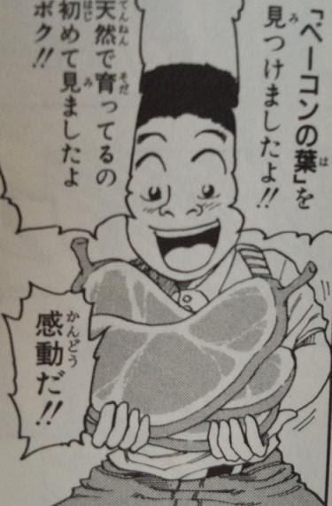 グルメ漫画 料理漫画図書館 トリコ 第1巻
