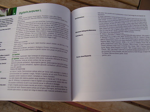 libro gio2