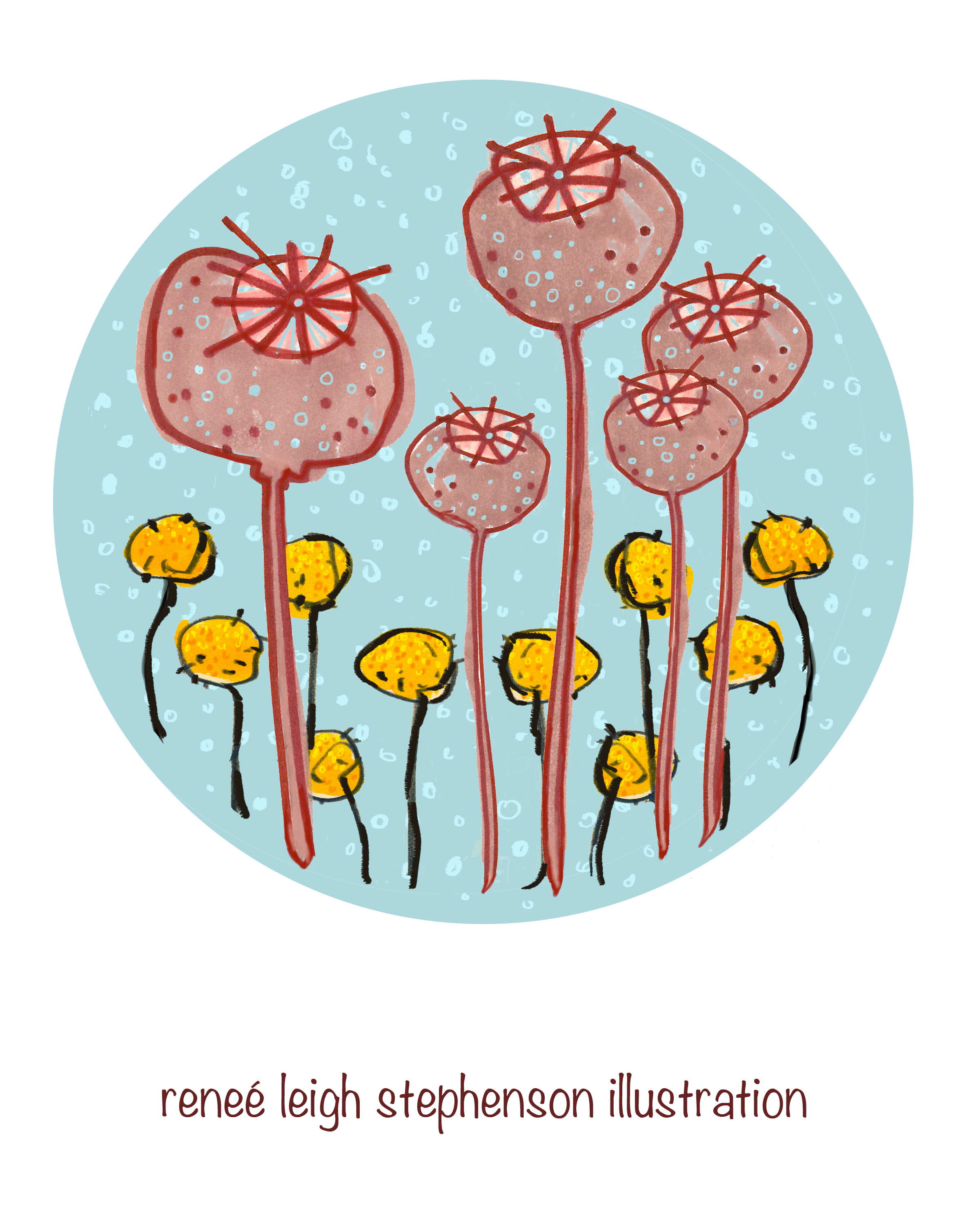 dinnerplate week two