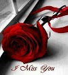 I Miss You Red Rose Image Hd