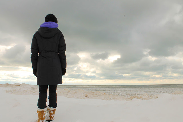 Dani lake mi