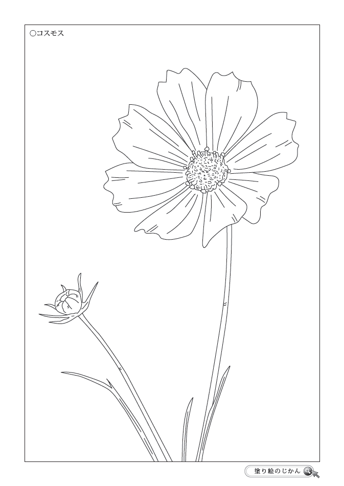 夏の花ぬりえ 塗り絵のじかん