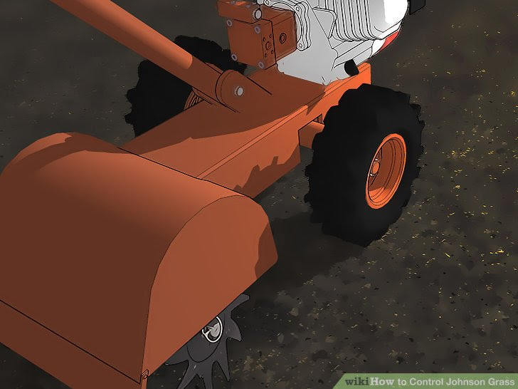 Control Johnson Grass Step 2.jpg