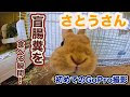 無料ダウンロード うさぎ ふん 食べる 190098-うさぎ ふん 食べる