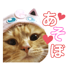 かわいい猫の日常使えるスタンプ Lineスタンプ Rutoro