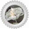 Petitefleur72700