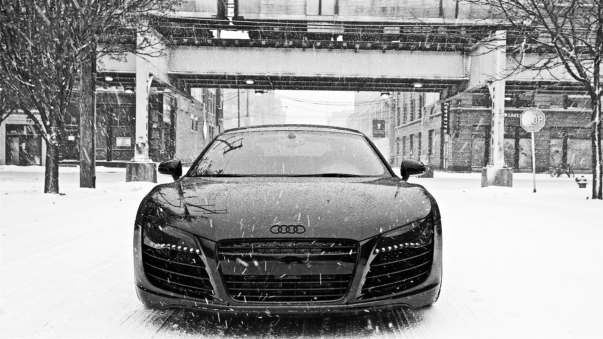 Black Audi R8 Wallpaper | HD Car Wallpapers | ID #3113