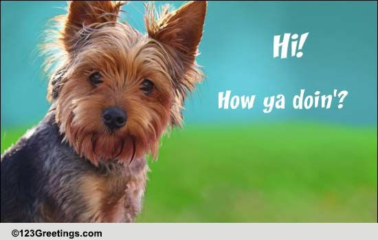 How Ya Doing? Free Hi eCards, Greeting Cards  123 Greetings