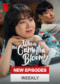 When the Camellia Blooms - Season 1