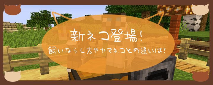 マイクラ 新ネコ登場 飼いならし方やヤマネコとの違いは マイクラモール