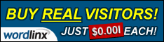 WordLinx - Buy Real Visitors
