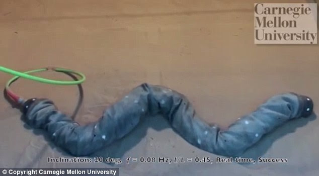 Once the snakebot was programmed with the wave motionemployed by rattlesnakes it succeeded in climbing sandy slopes.
