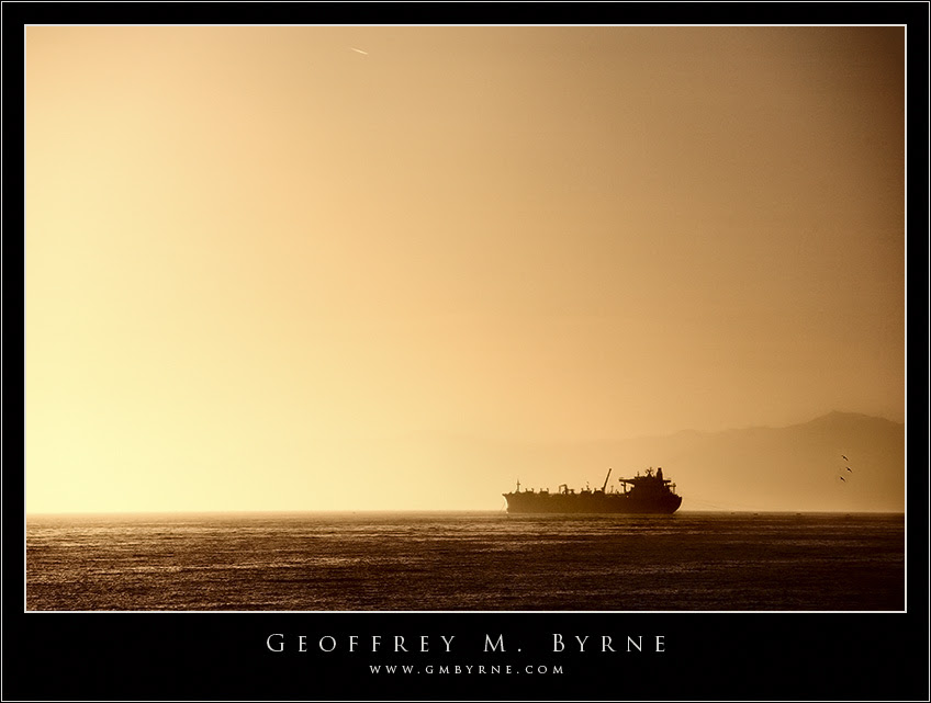 Three Pelicans and a Ship