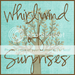 Whirlwind of Surprises