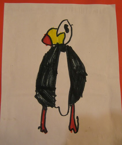 Puffin drawing