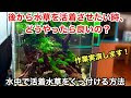 画像 ボルビティス 活着させない 234600-ボルビティス 活着させない