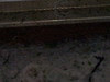 3/31/2012 WEATHER pics