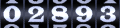 Website Hit Counters