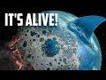                                                                            Astronomers Discover a NEW Type Of Habitable Planet!