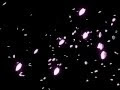 コレクション フリー かっこいい 桜 吹雪 イラスト 257585