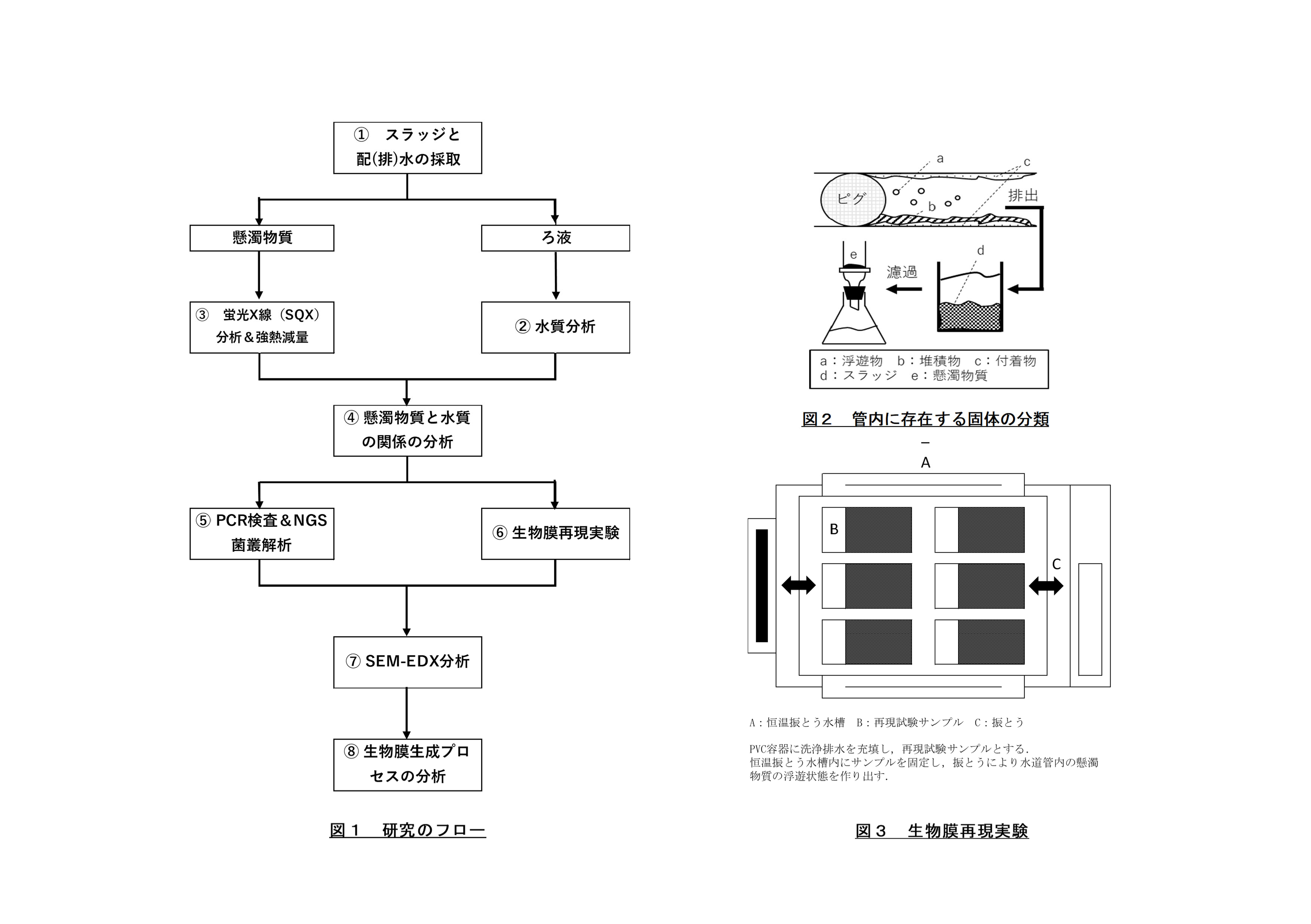 分野融合型萌芽研究ｇｒｏｕｐ３ 宇都宮大学