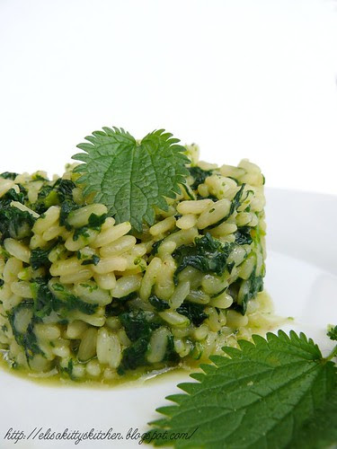 Risotto all'ortica e gewurztraminer