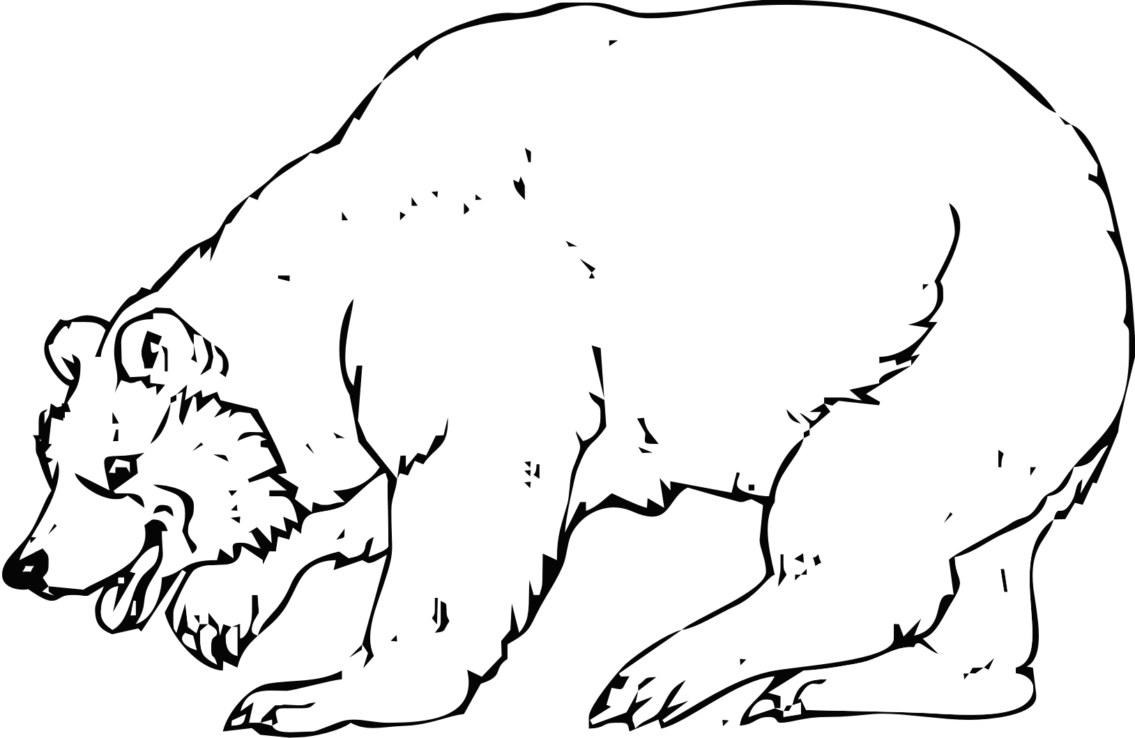 orso