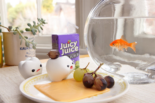 Things for Carrot #2