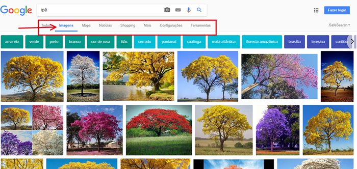 Google: Pesquise através de imagens e voz