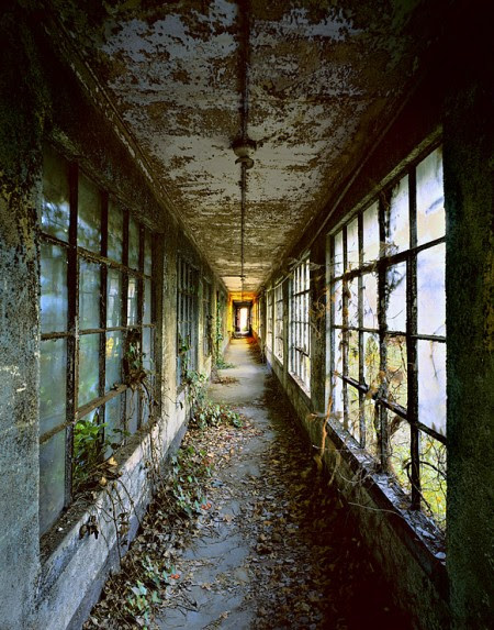 Bernstein Andriulli, Ellis Island by Stephen Wilkes