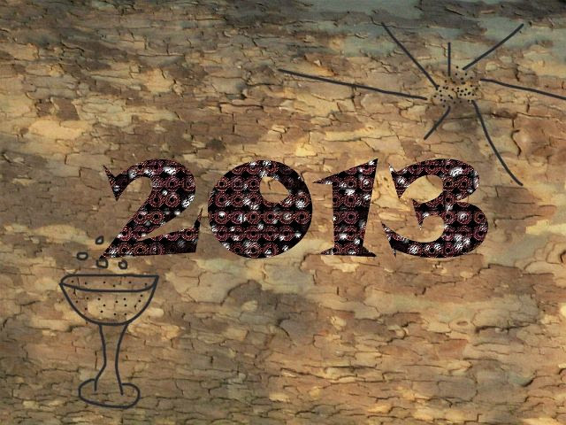 Najlepszego w 2013 roku!